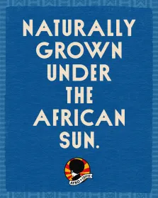 Mild & Aromatic DECAF Kaffeekapseln, Bio, Fairtrade 10 Stück